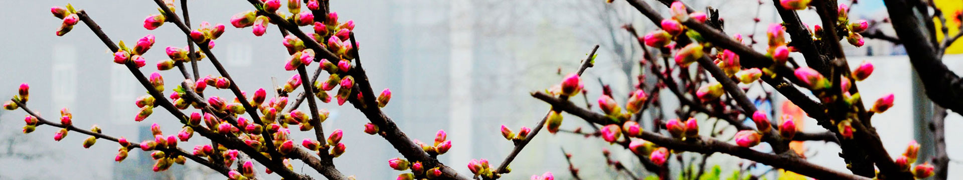 十大赌·博网址大全